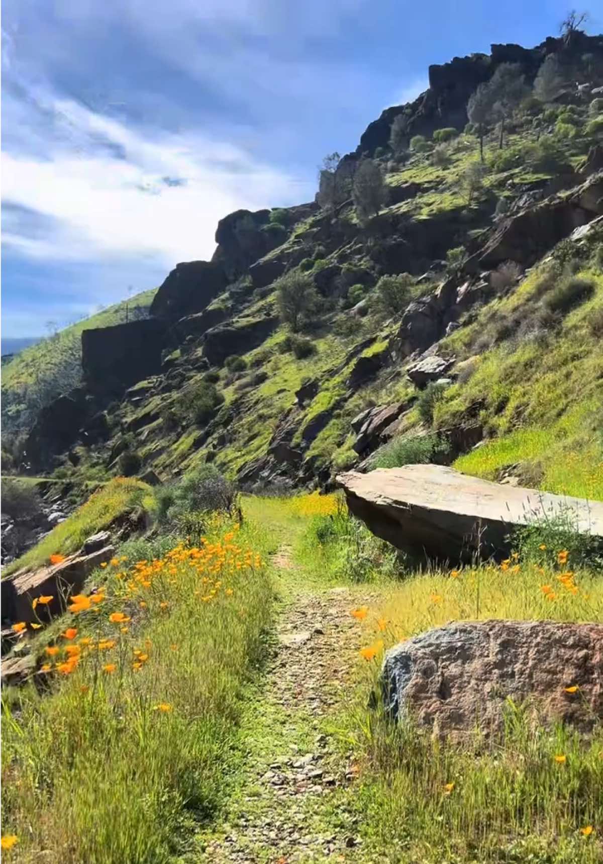 @trailfairy
