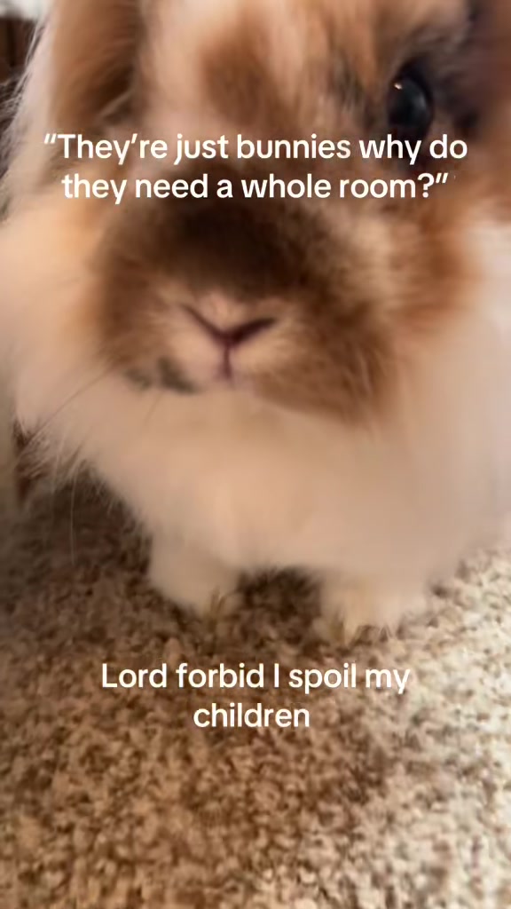 @snackqueenandsir