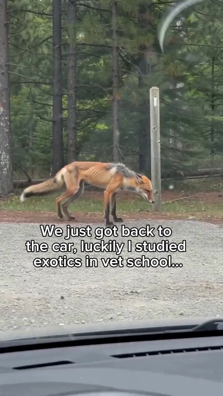 @AJ🦁