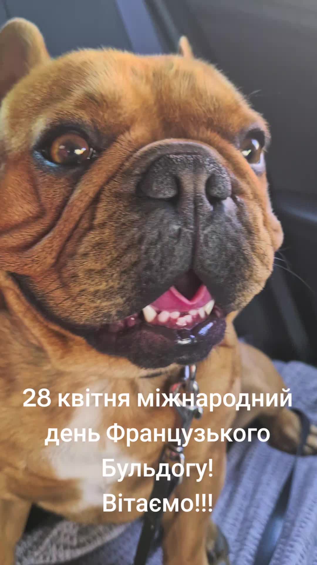 @Олена Ісаченко