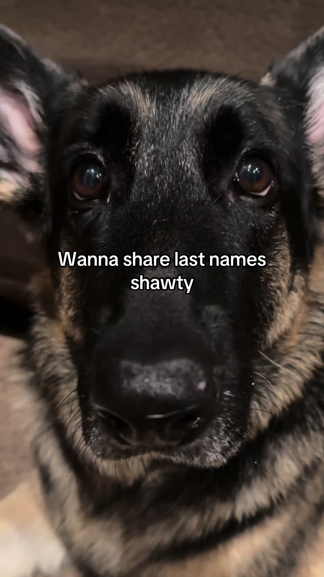 @Bhris