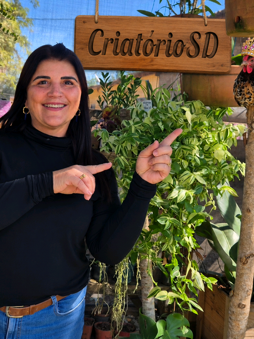 @Criatorio S & D