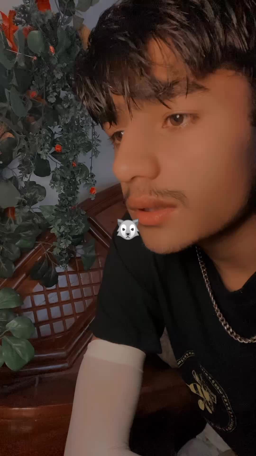 @🐺 TIMMY 🐺