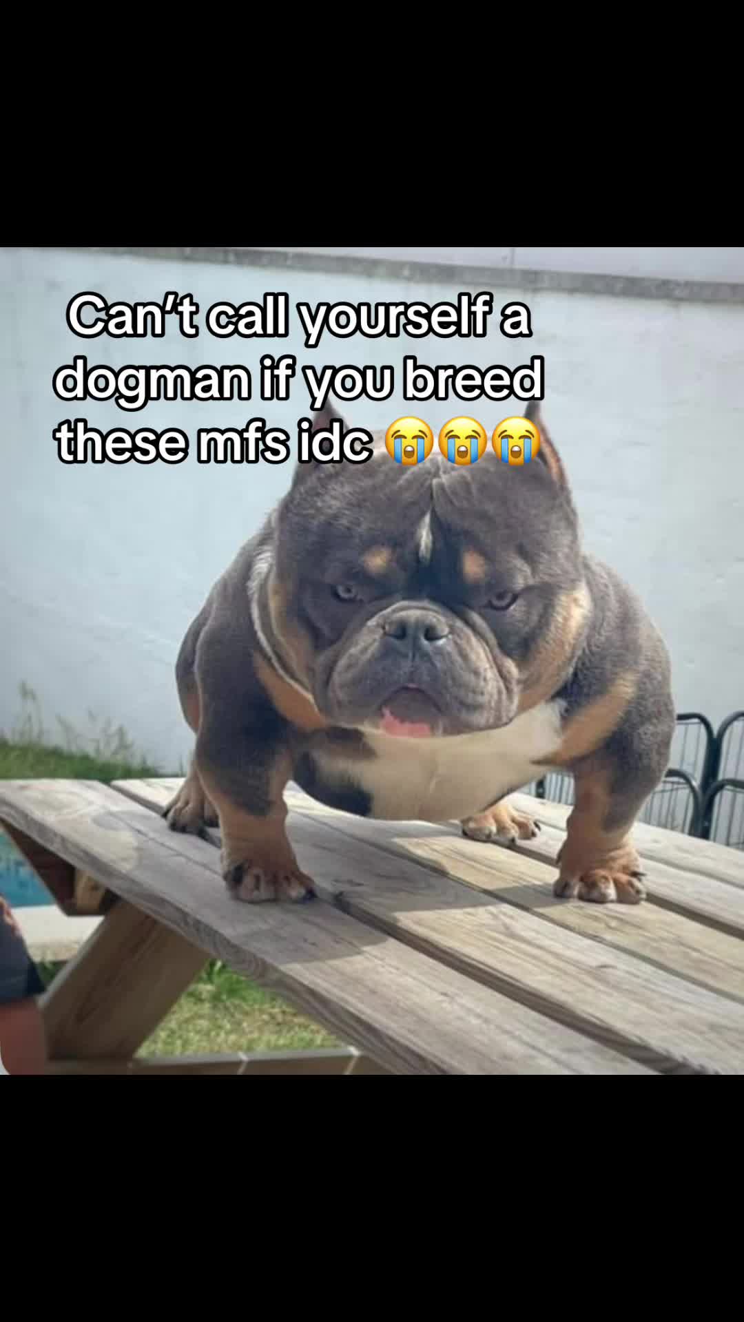 @jagdshit