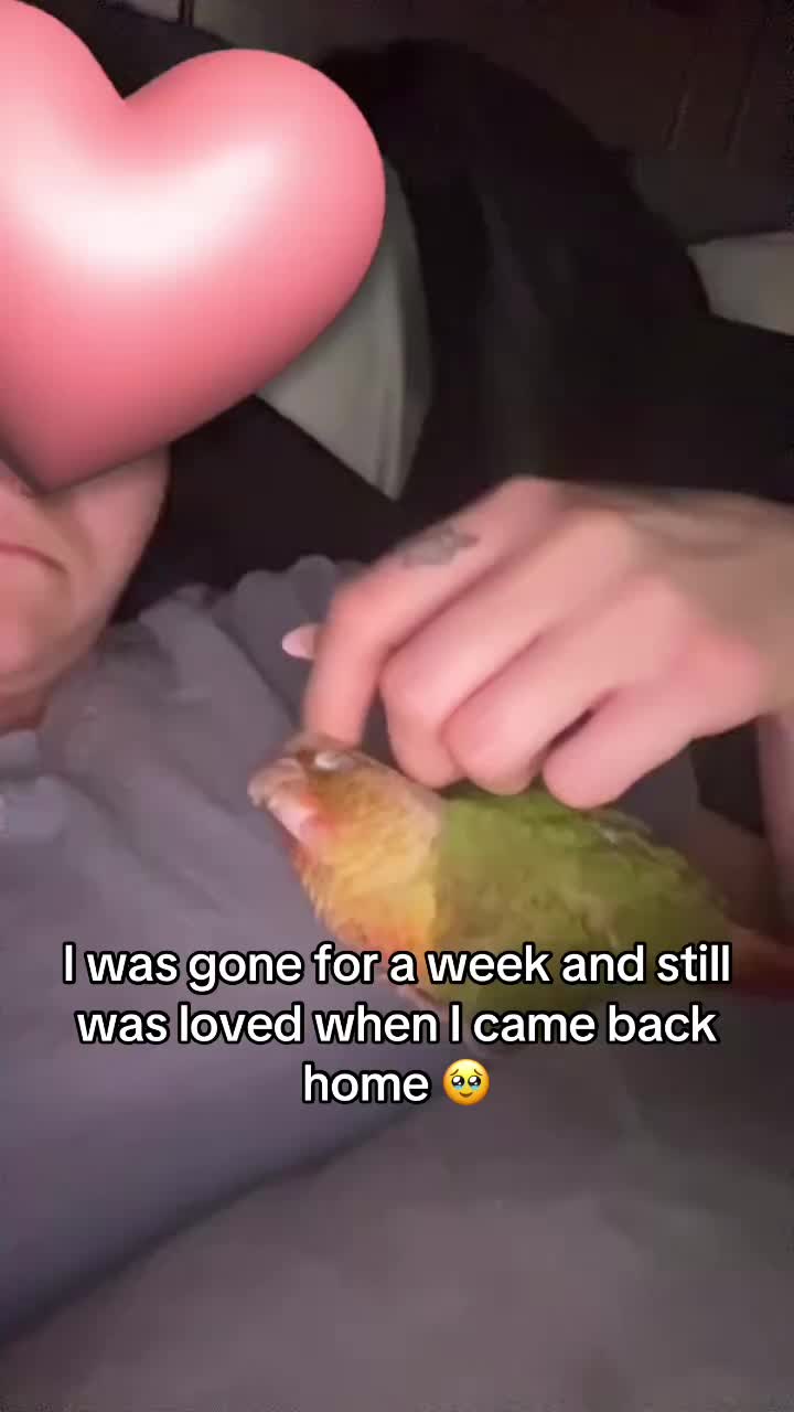 @nessiebeann
