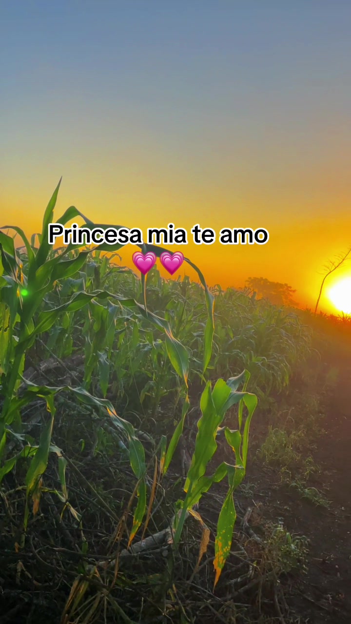 @Gustavo