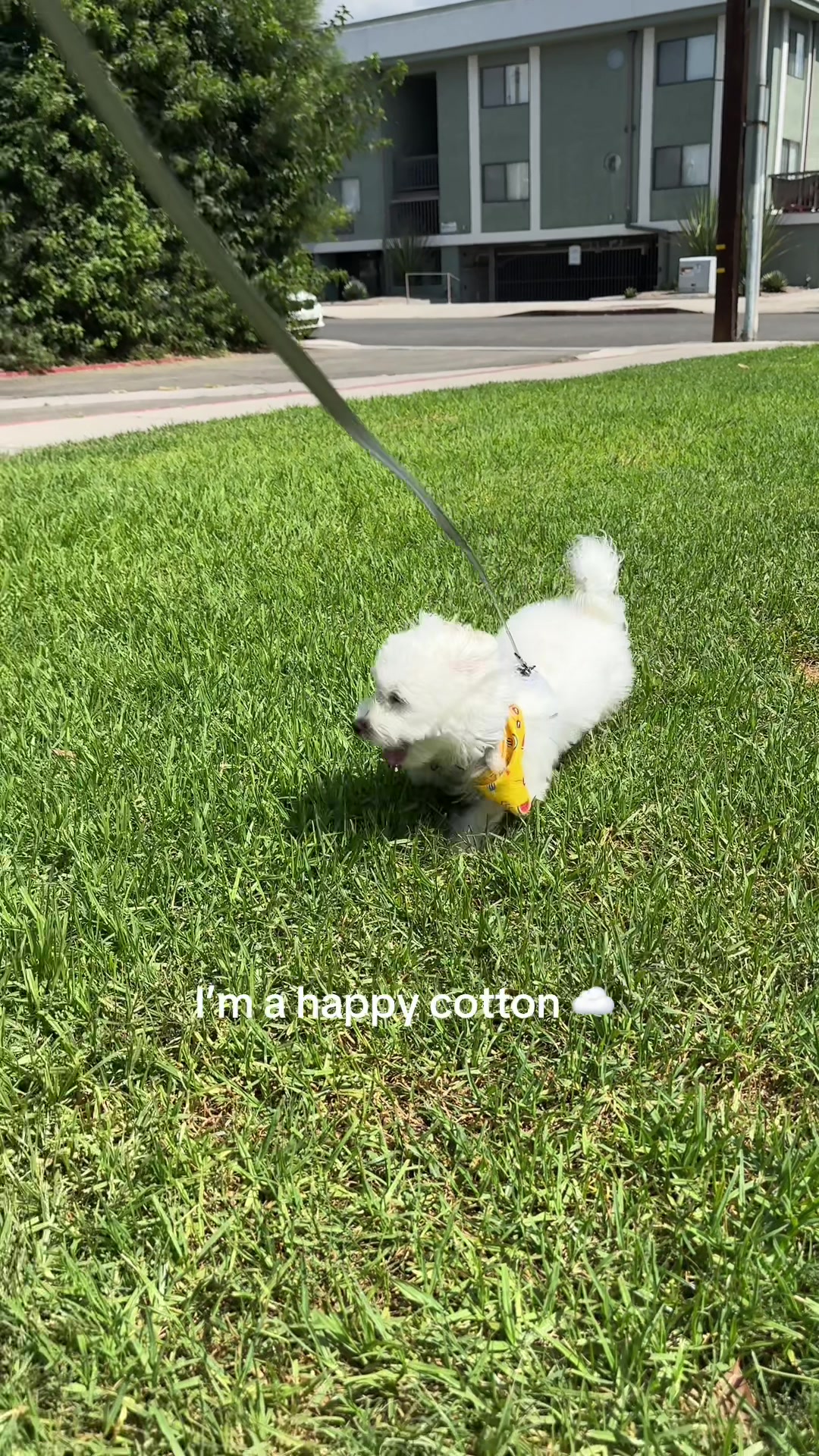 @claire 🐹