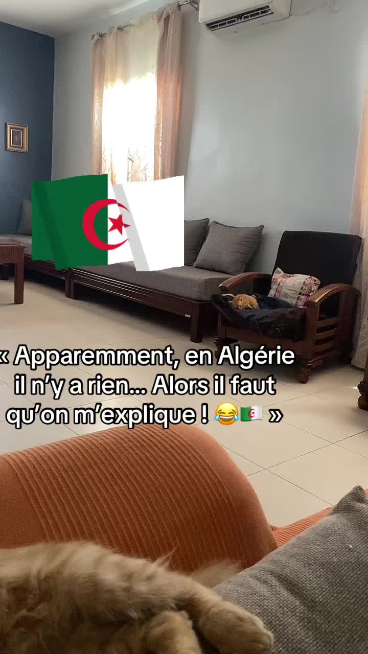 @Isabelle 🇫🇷 ma hijra en 🇩🇿