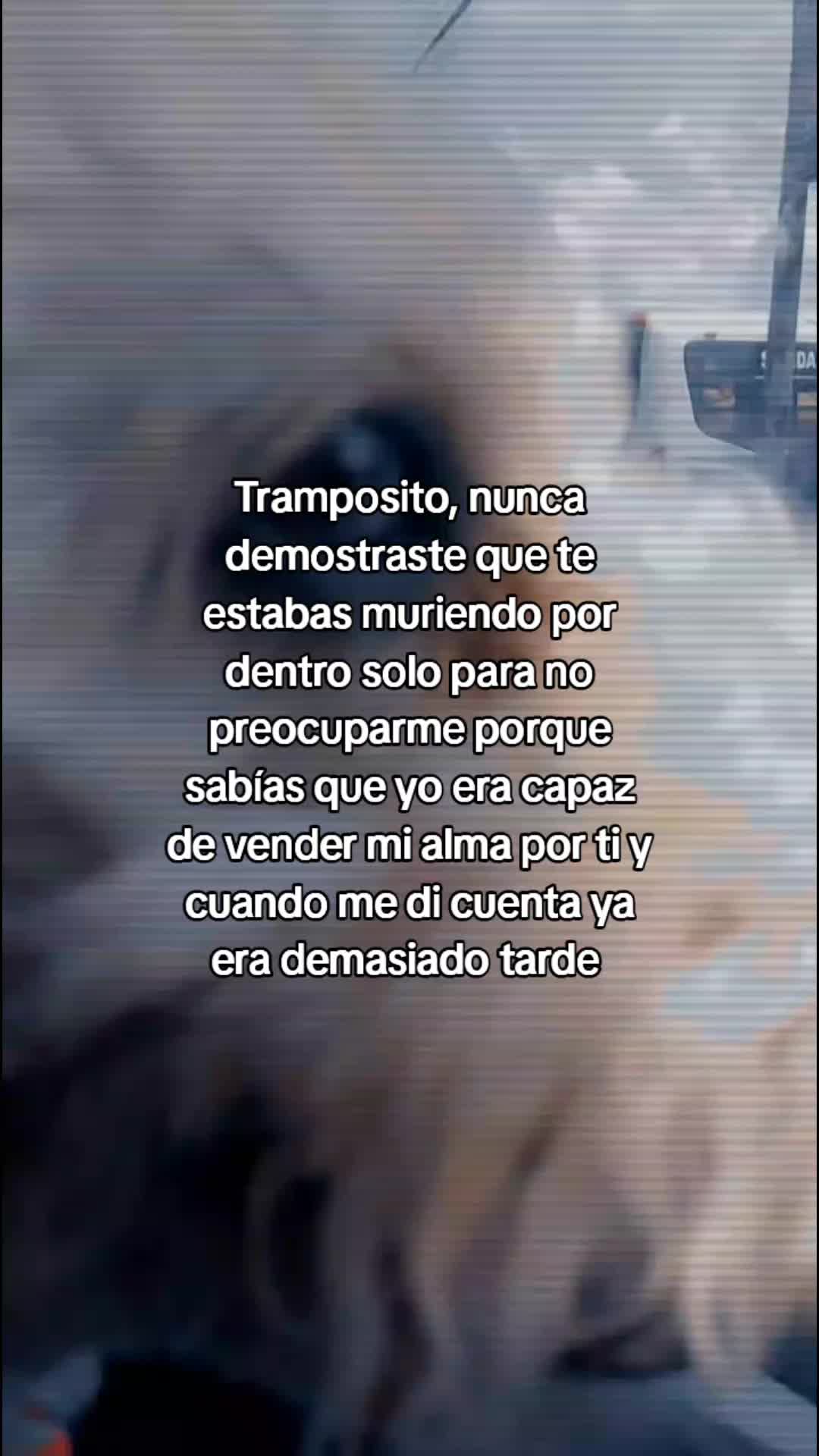 @Joha Mishell