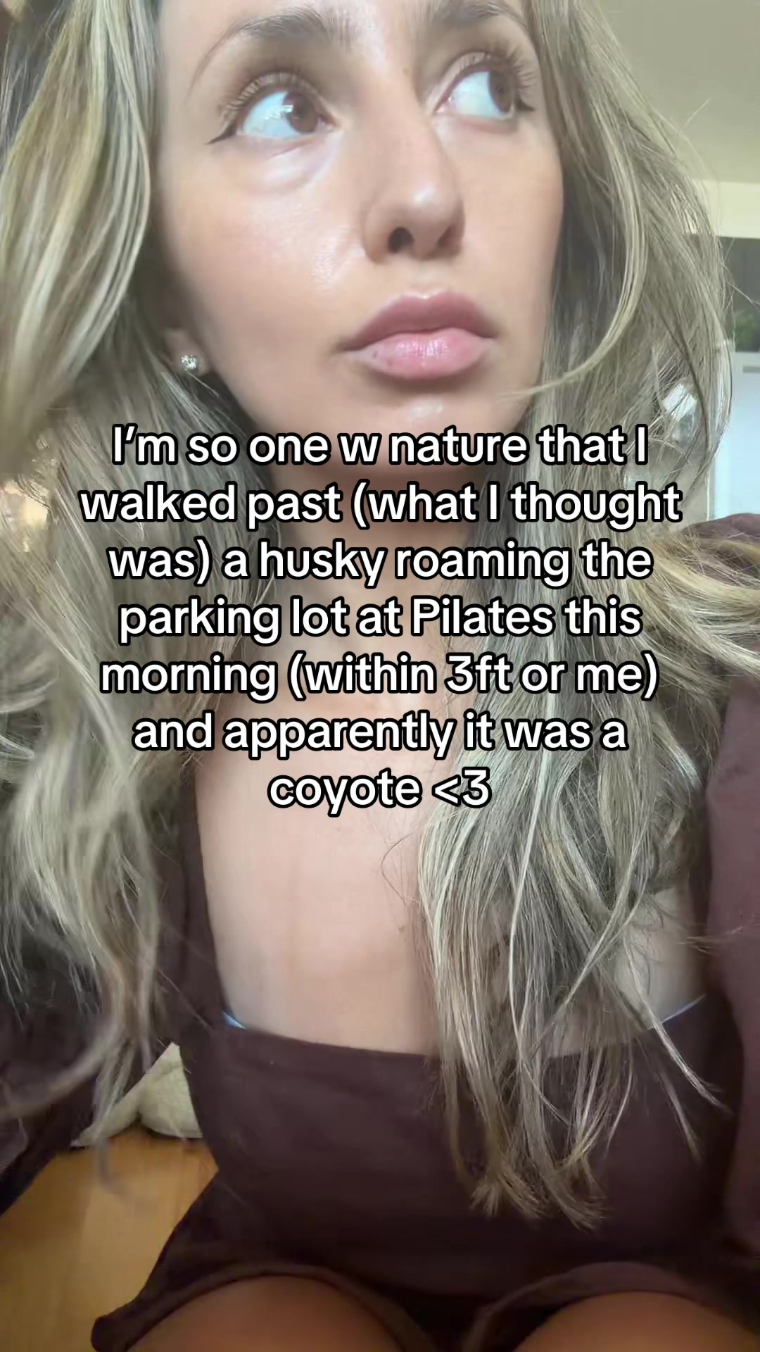 @Delusionalfairygirl