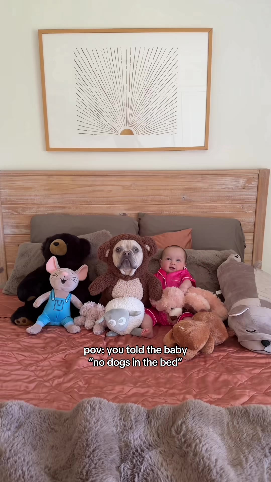 @Winston & Charlie 🐾