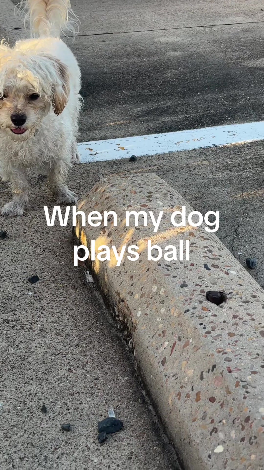 @dtoxxhim