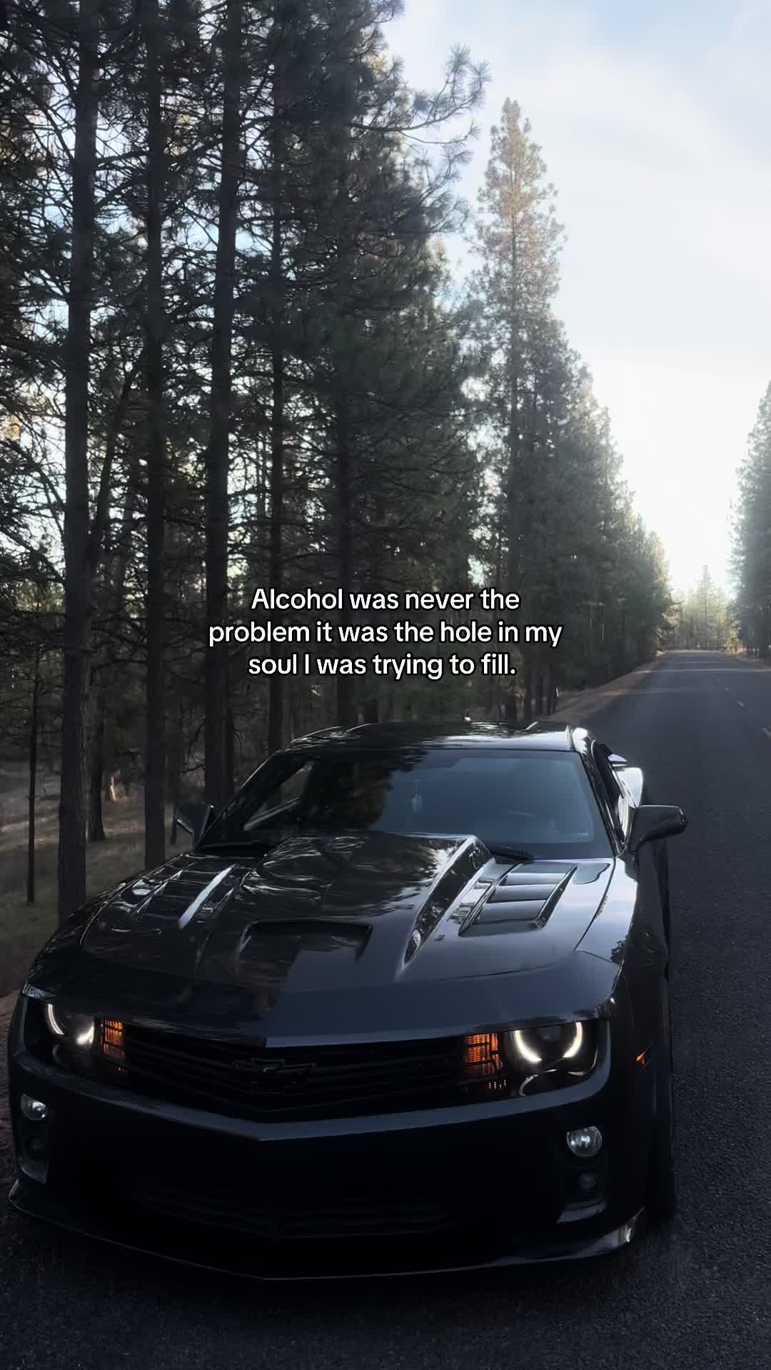 @midnight_zl1