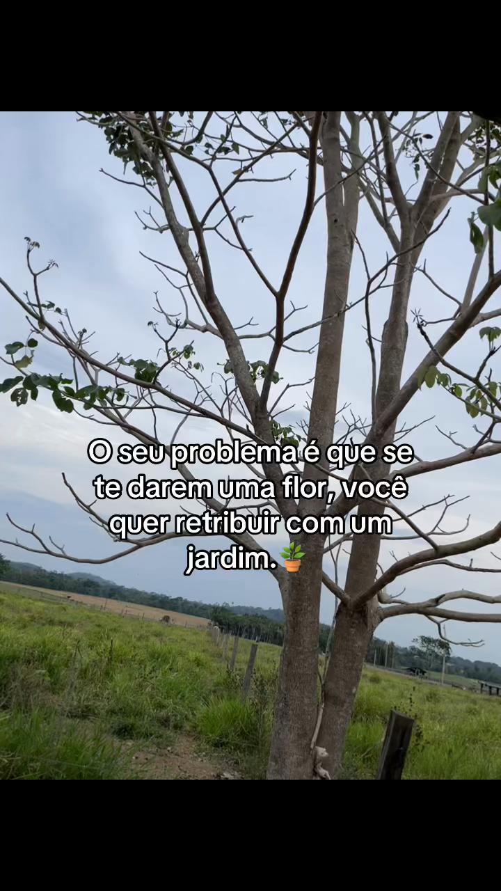 @lari lisboa