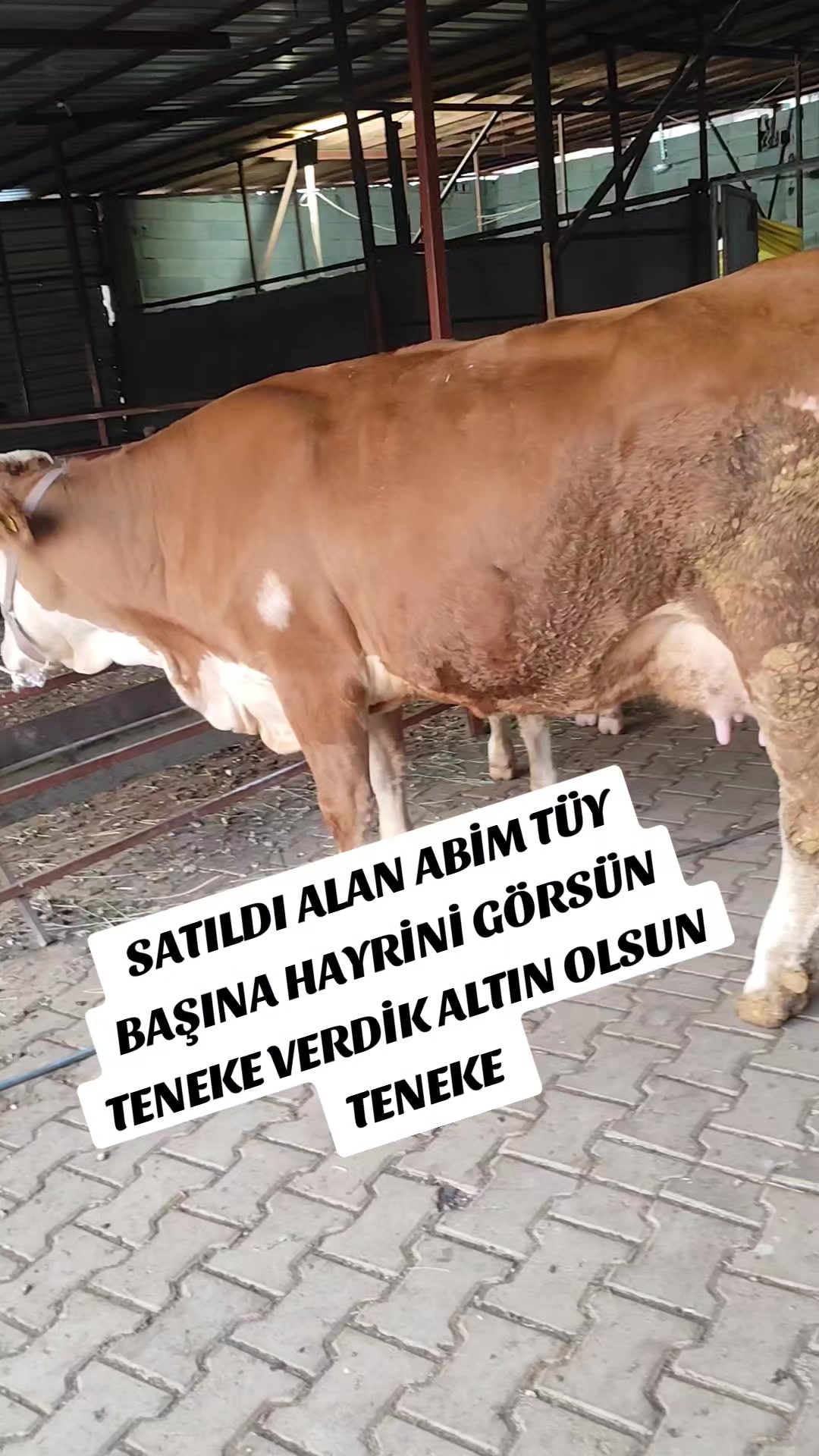 @ADAKCI CUMA