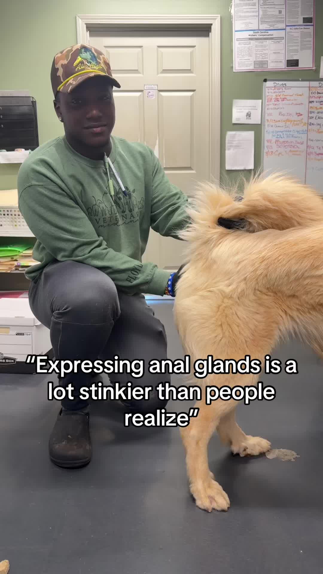 @Triangle Vet