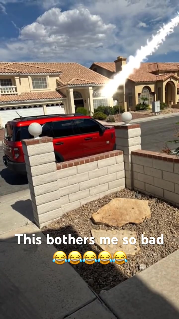 @wheresyvettenow