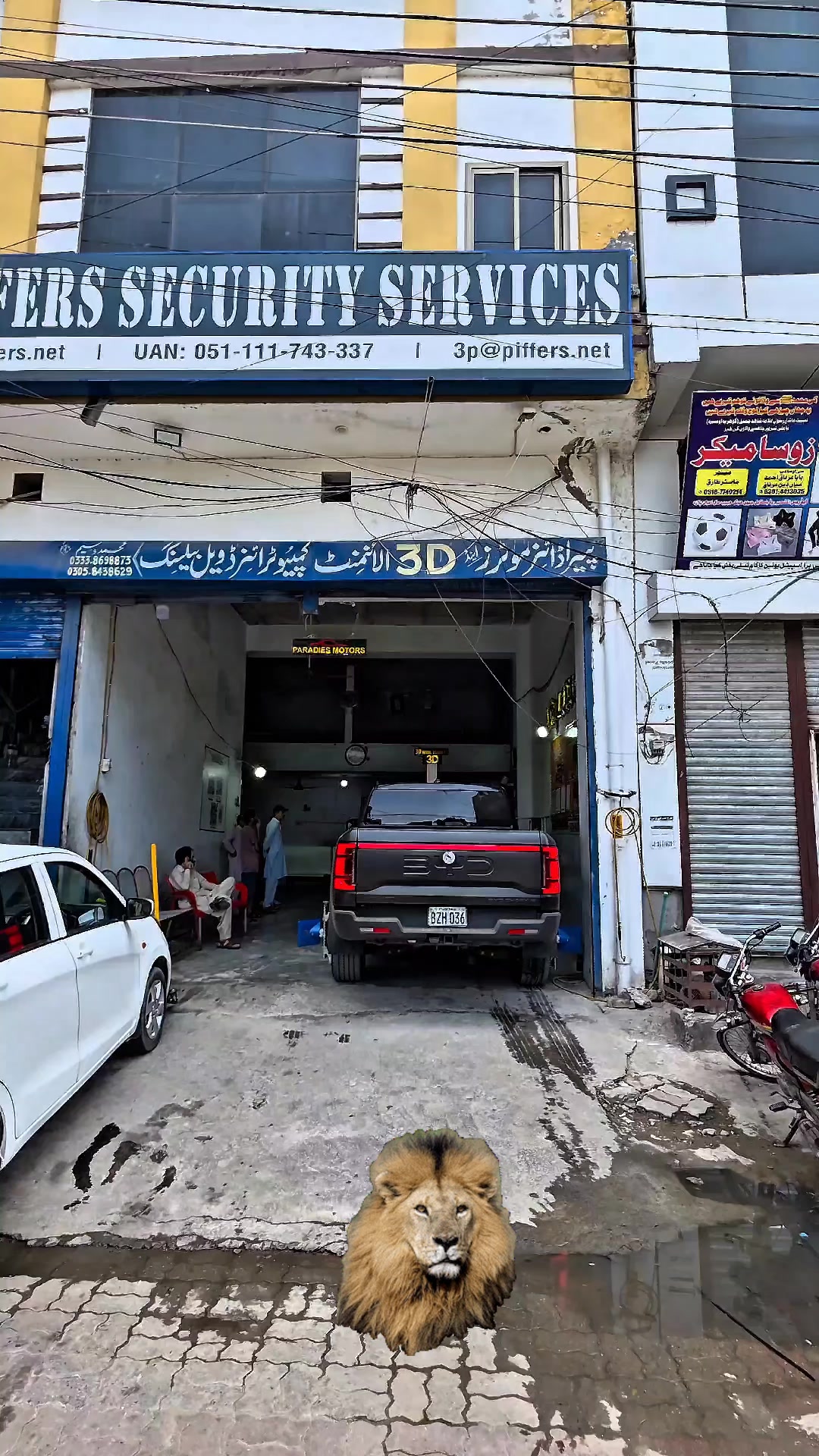 @paradise 3d wheel alignment 12