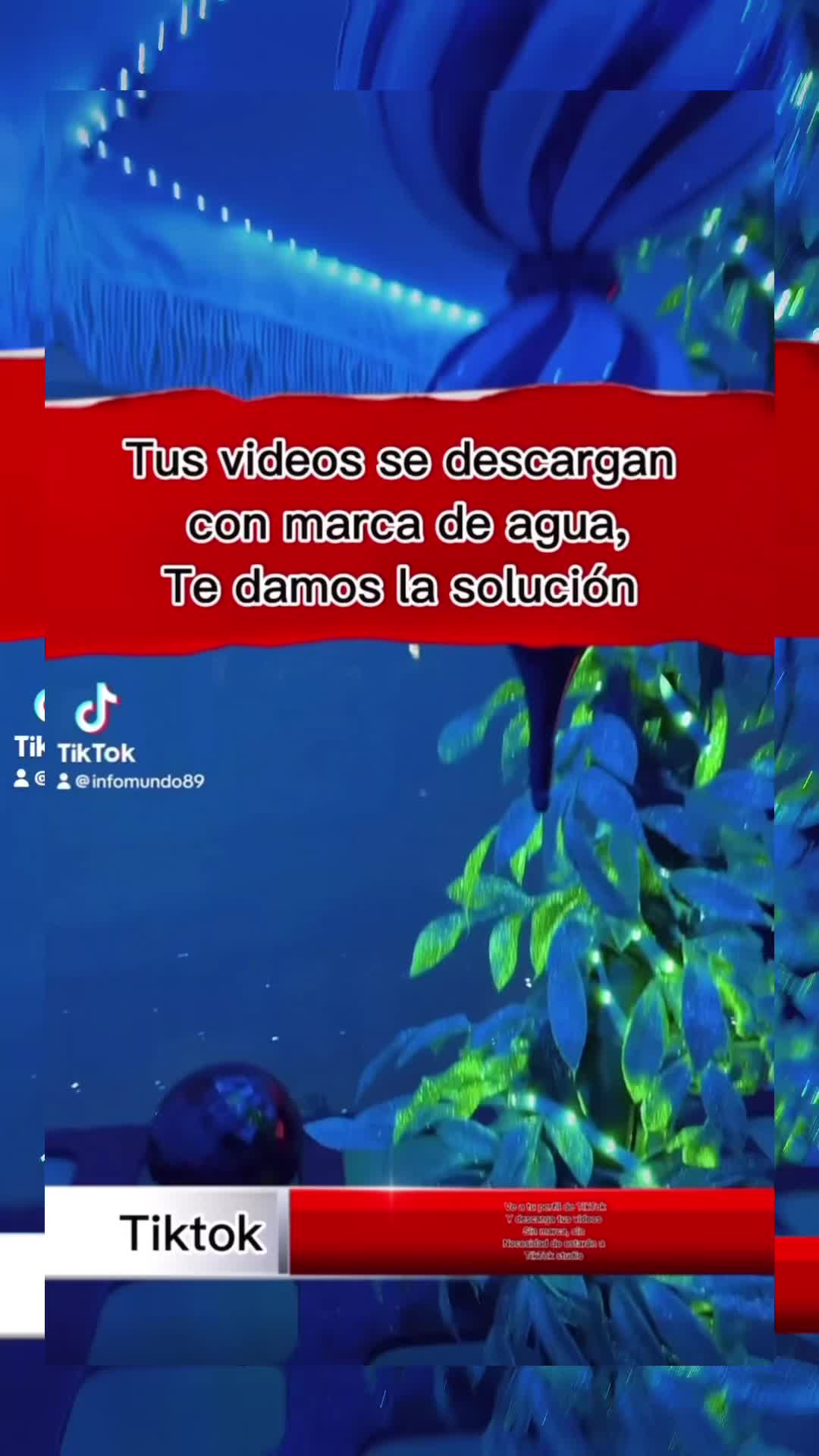 @Infomundo89