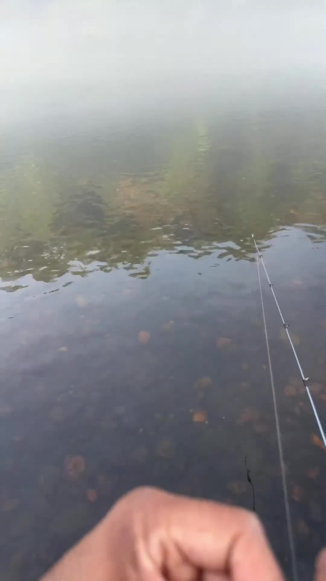 @LOVELACE 🎣