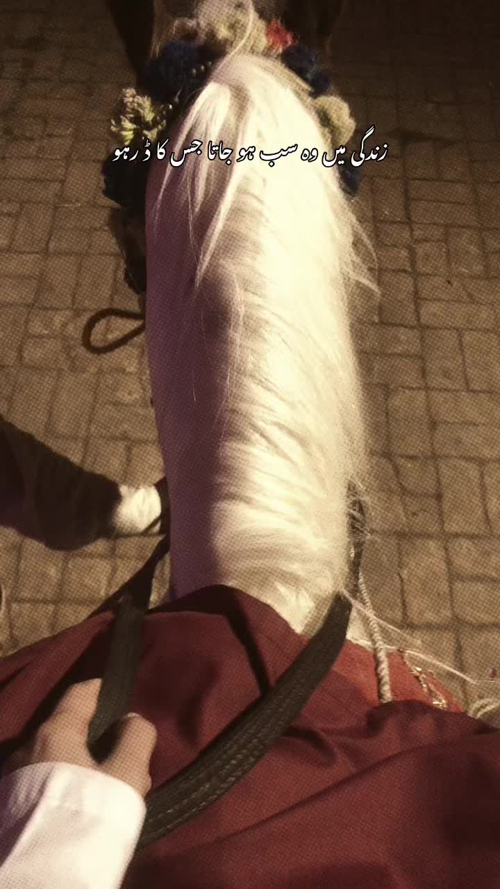 @Atia Javed🦋