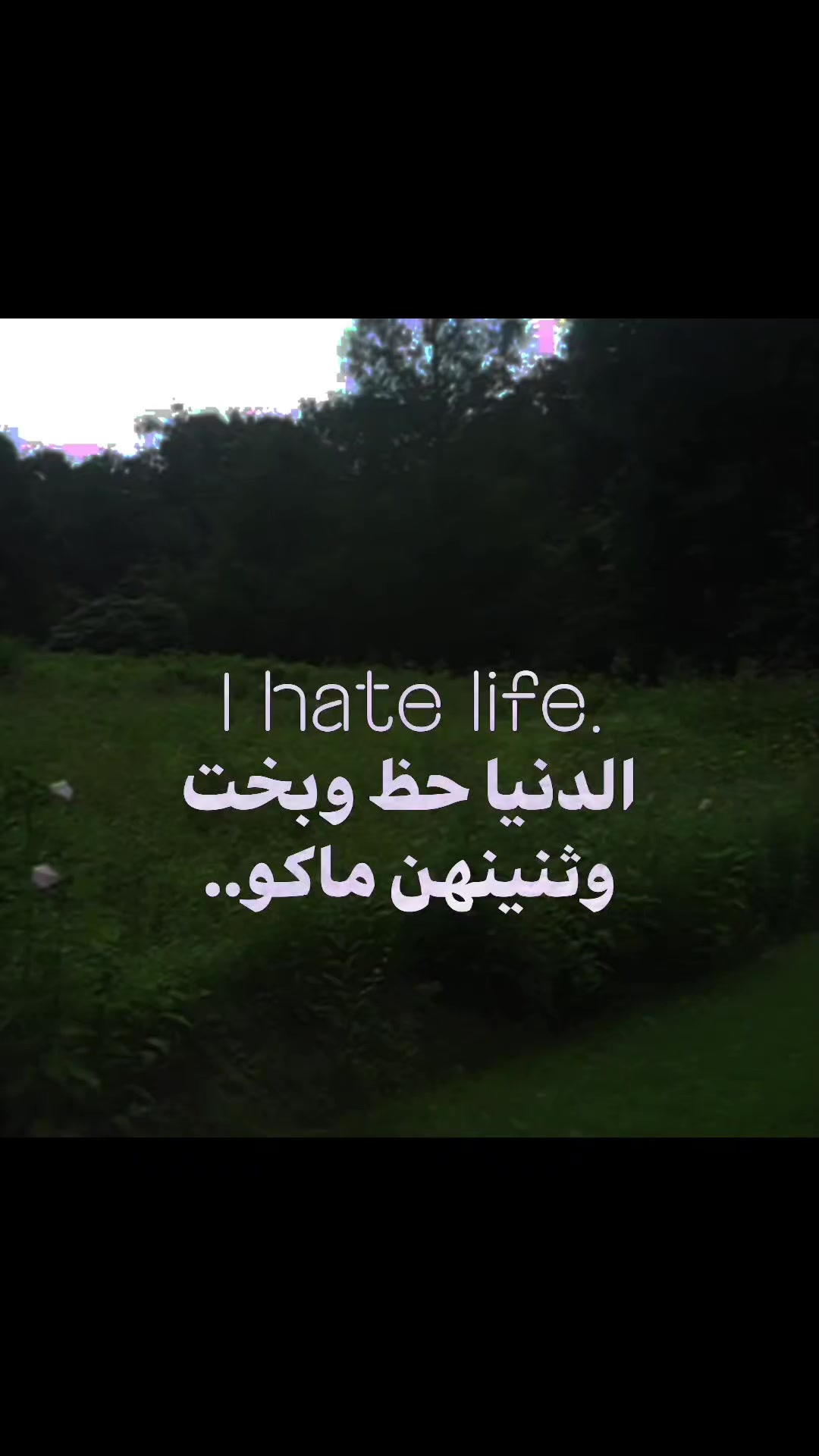@"غيث" (مواطن شريف جداً)