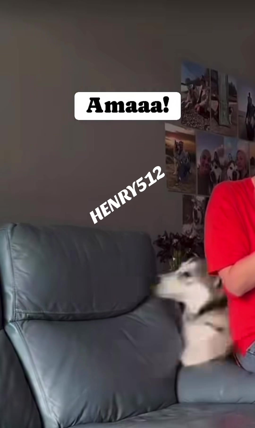 @HENRY512