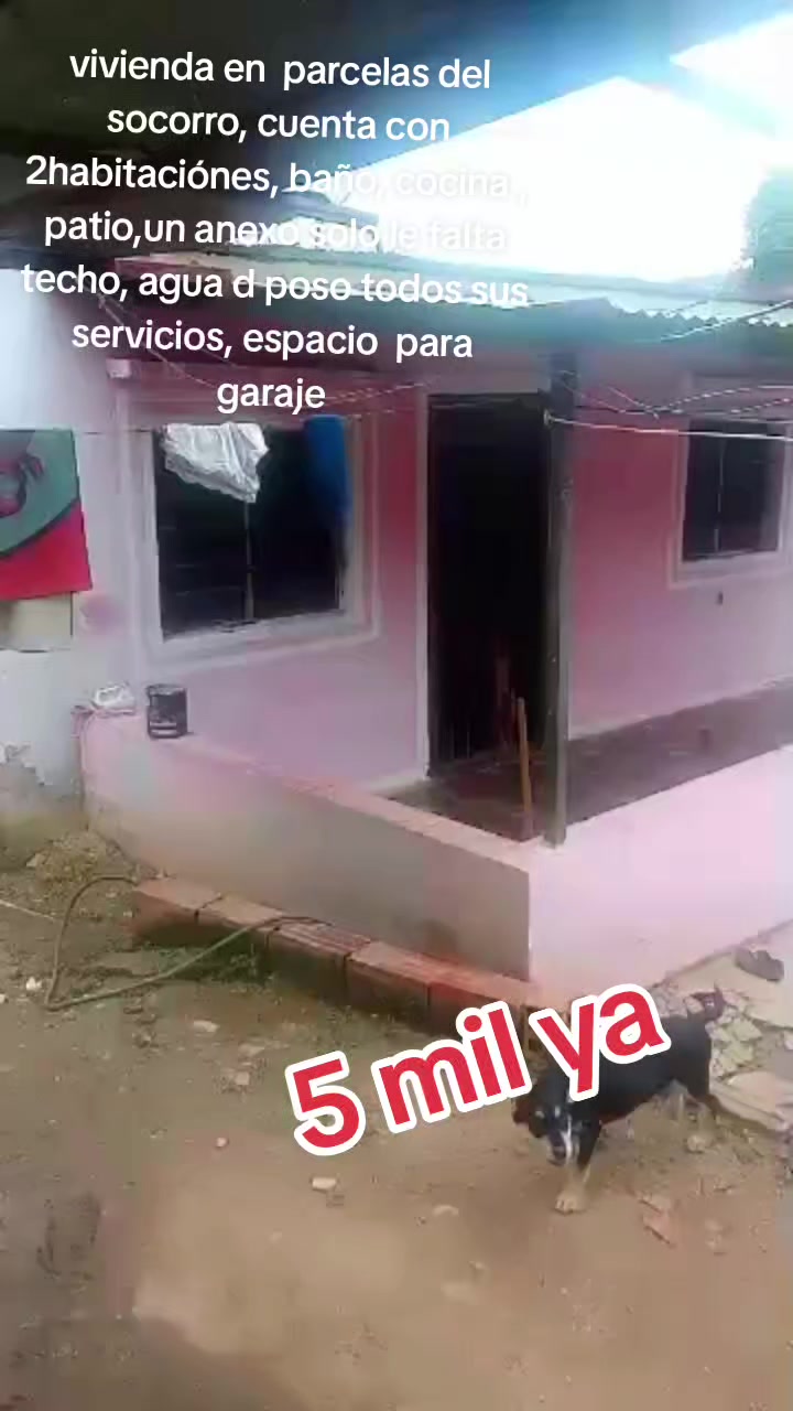 @Lis_venta
