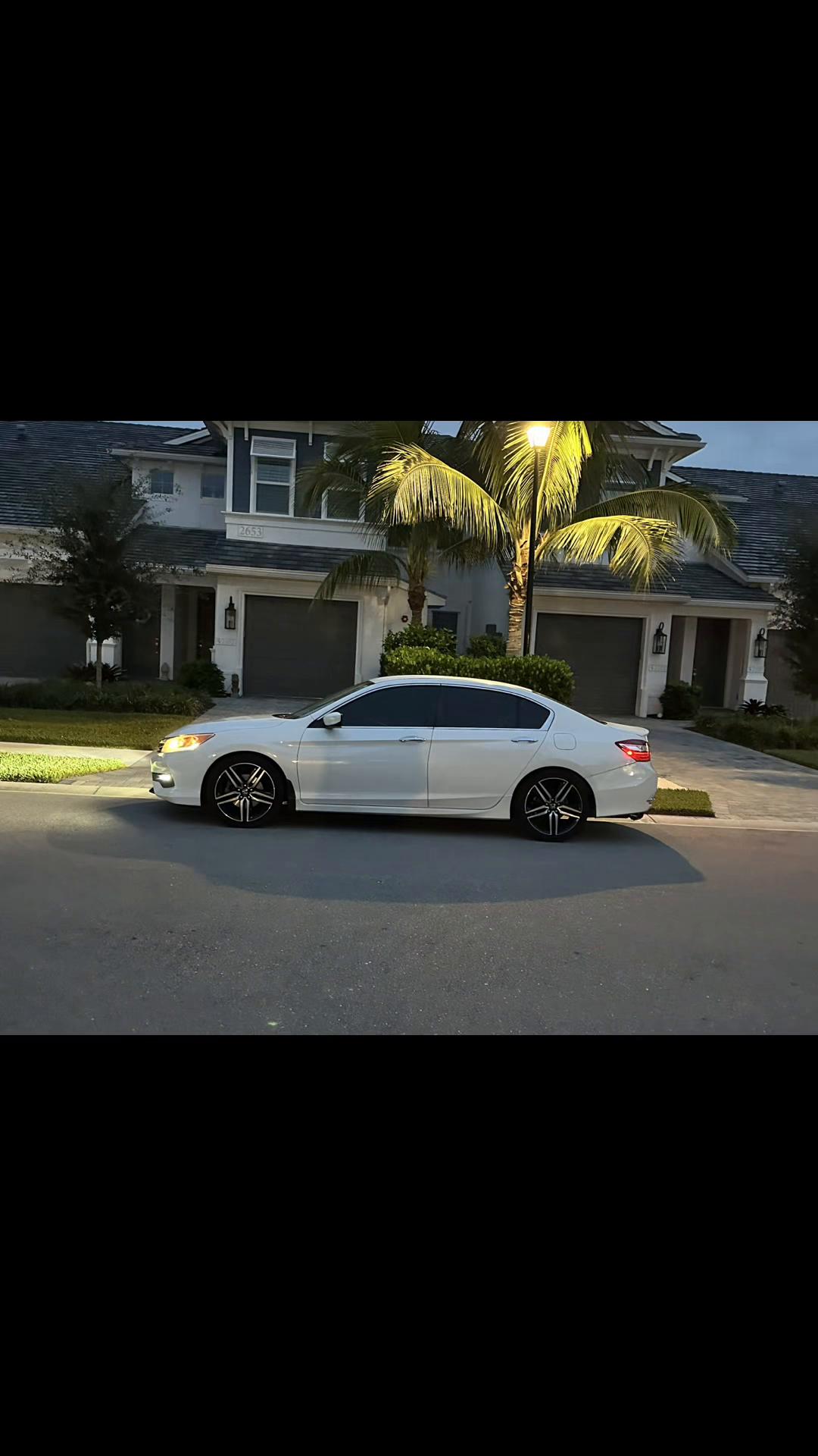 @robervidal4
