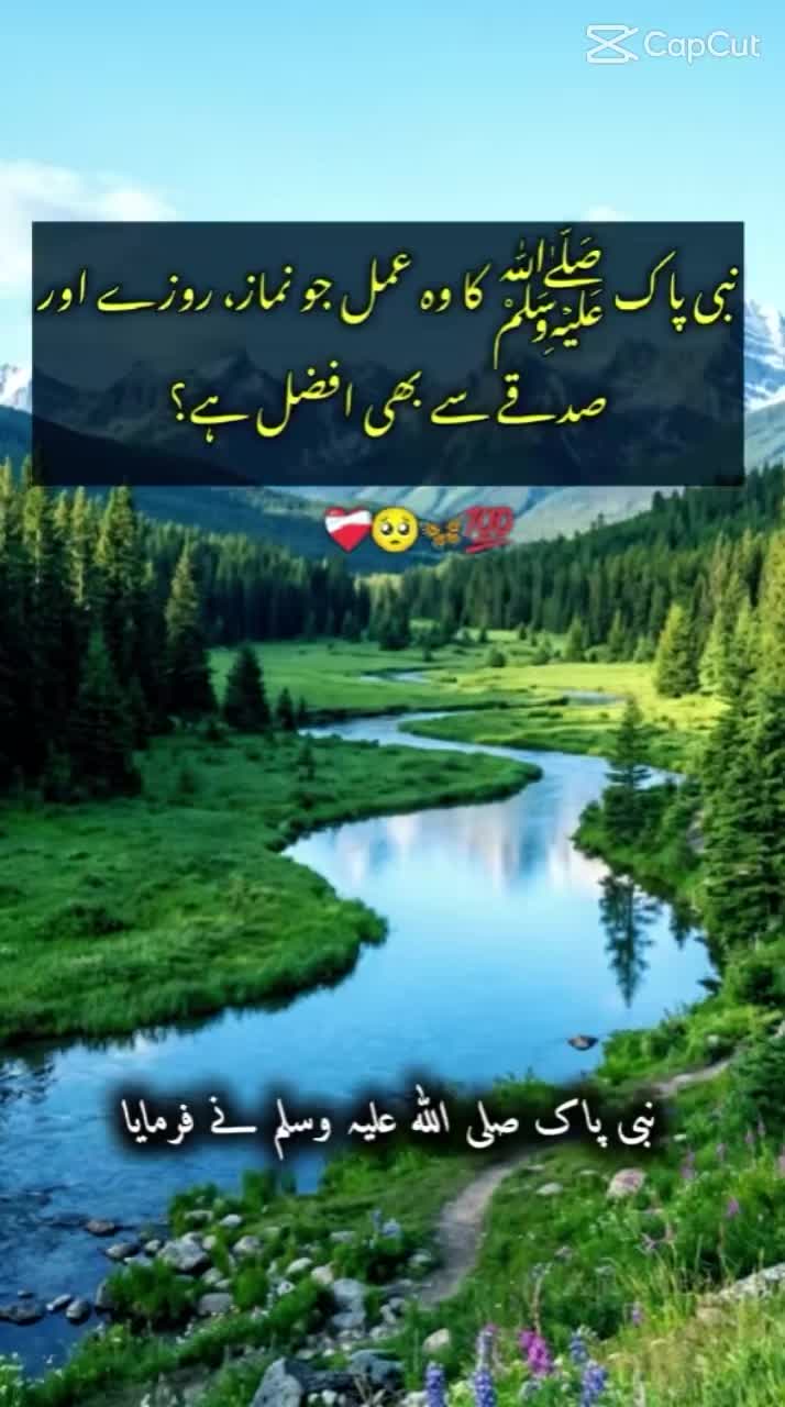 @Mohammad shafi💯786🇵🇰💔🇸🇦