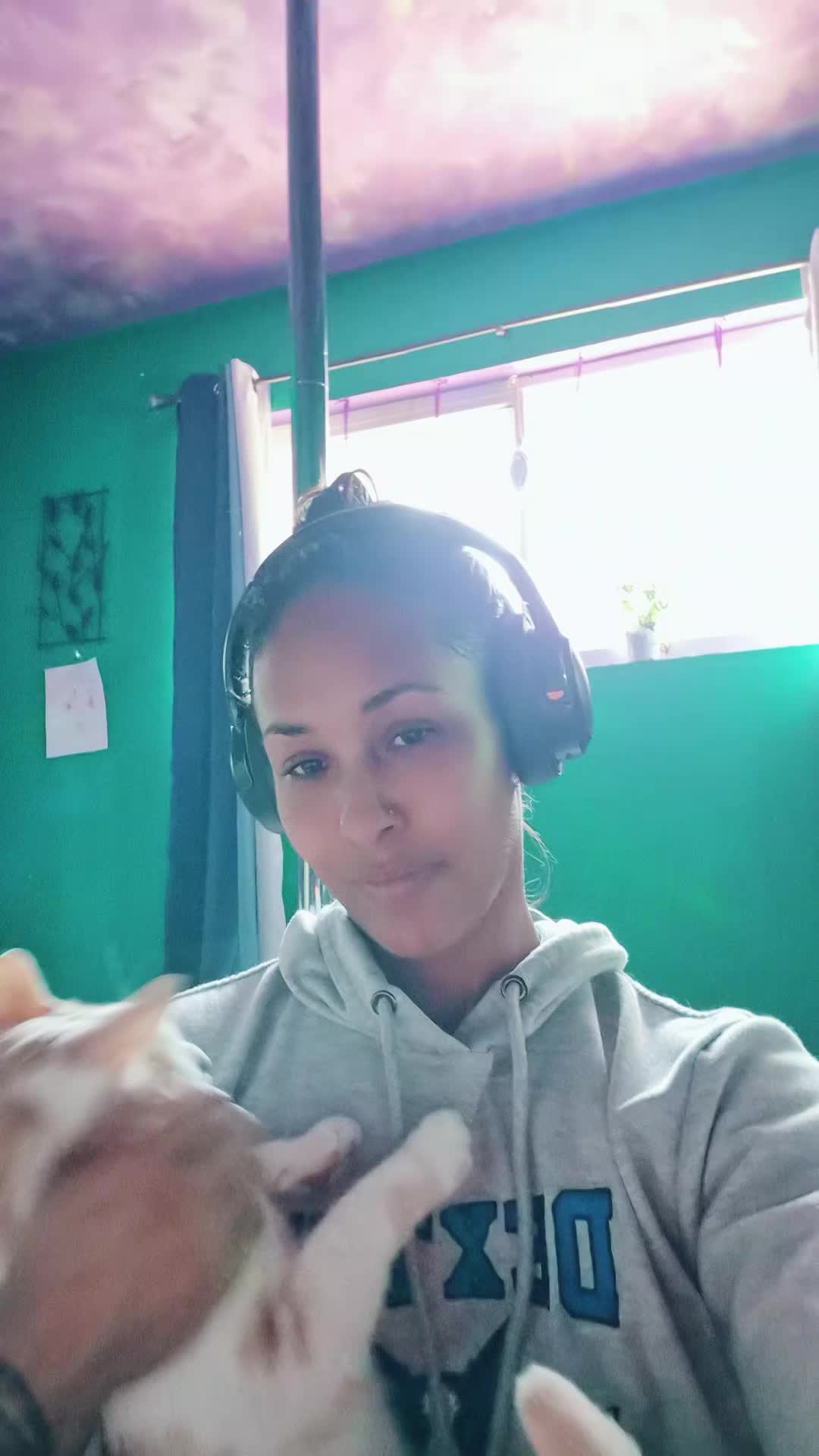 @zen8joi