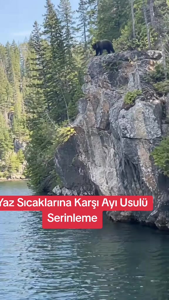 @Selçuk Tuna 🐈⬛