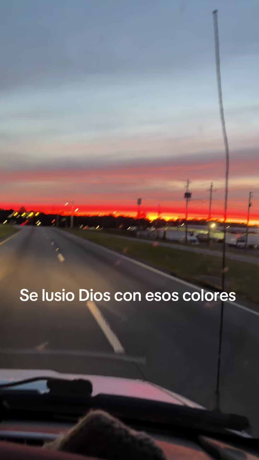 @Griselda Grajeda🫅🤴🫅🤴🦁🦁🦁