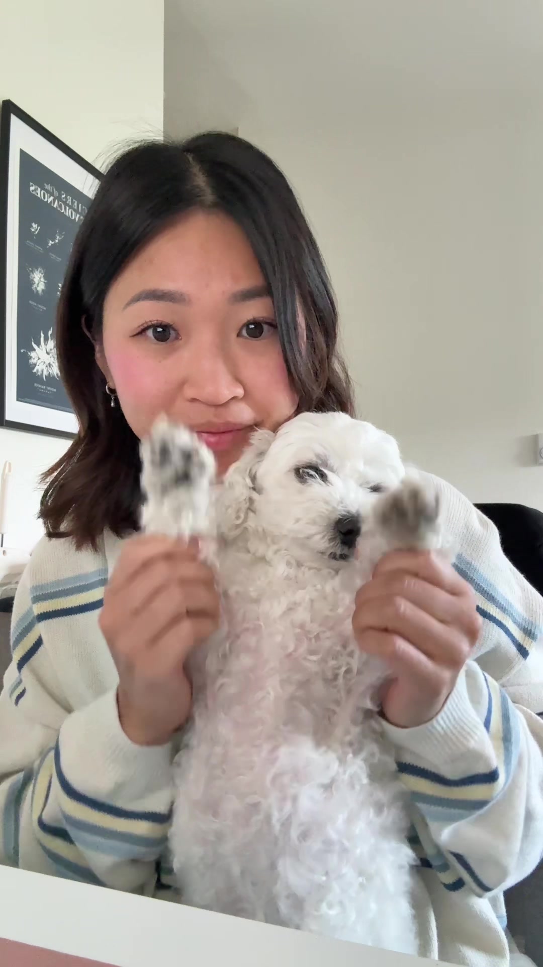 @jemmi 🐧