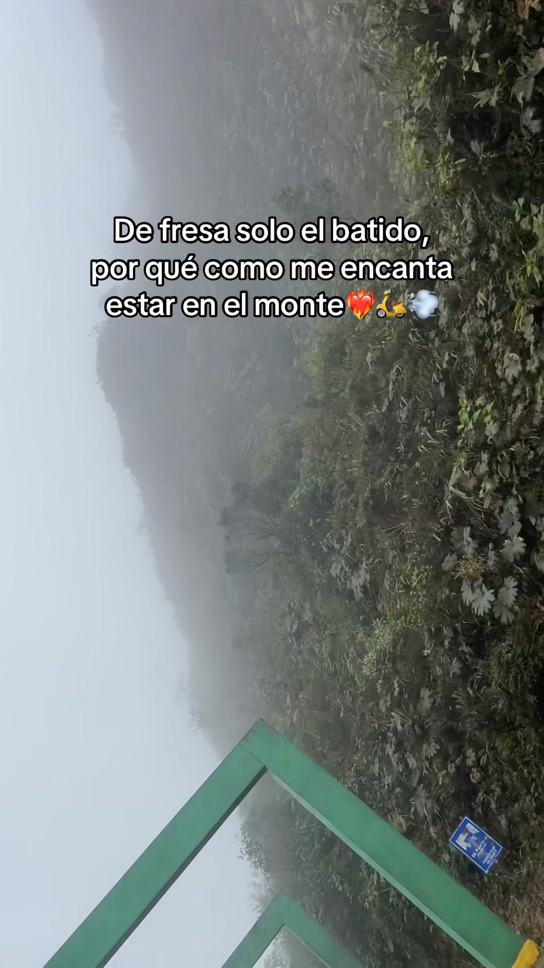 @Laura Hern&aacute;ndez 🫶