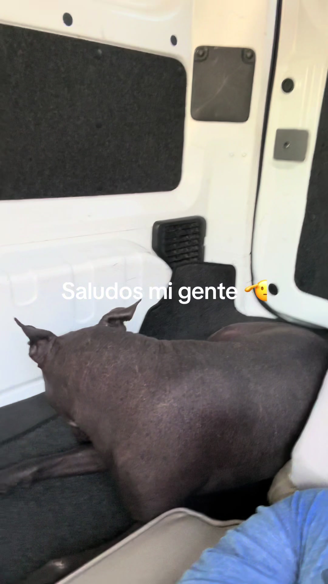 @Elcharitoopemex