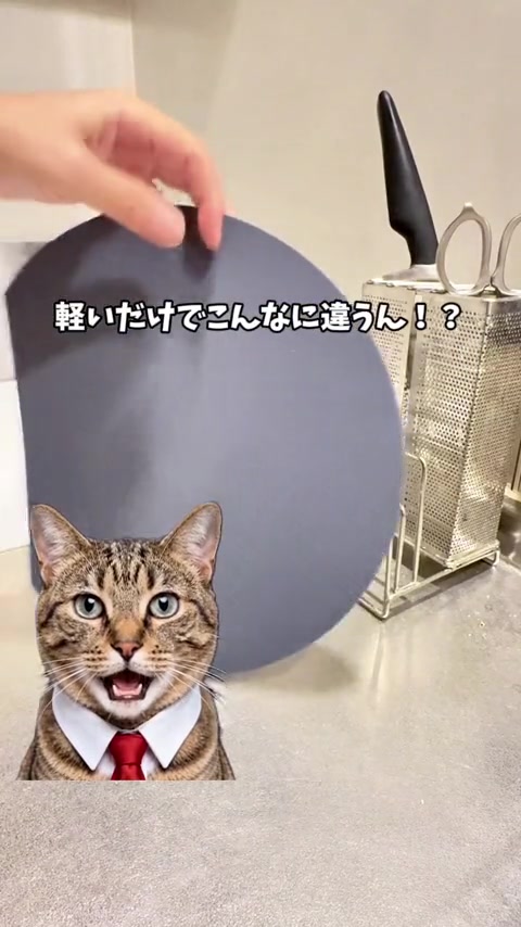 @しんのすけ🐾