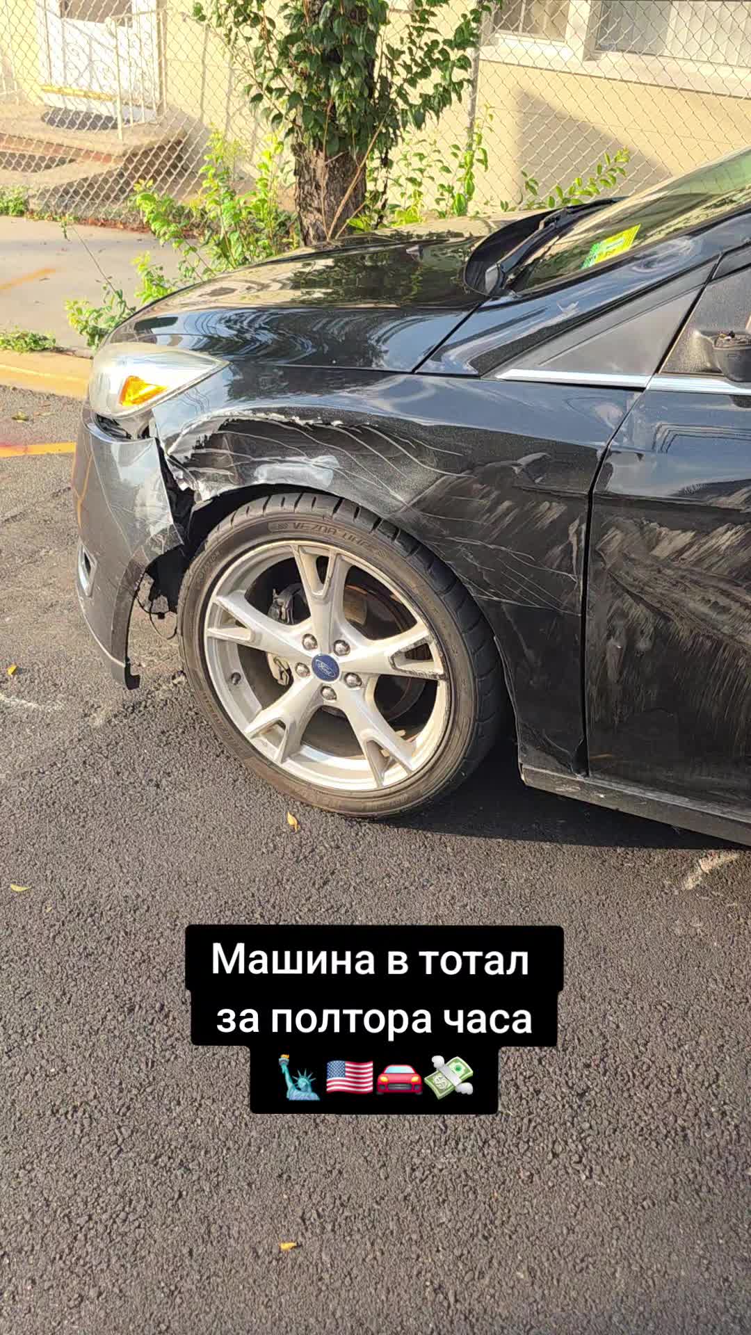 @Серега Иммигрант