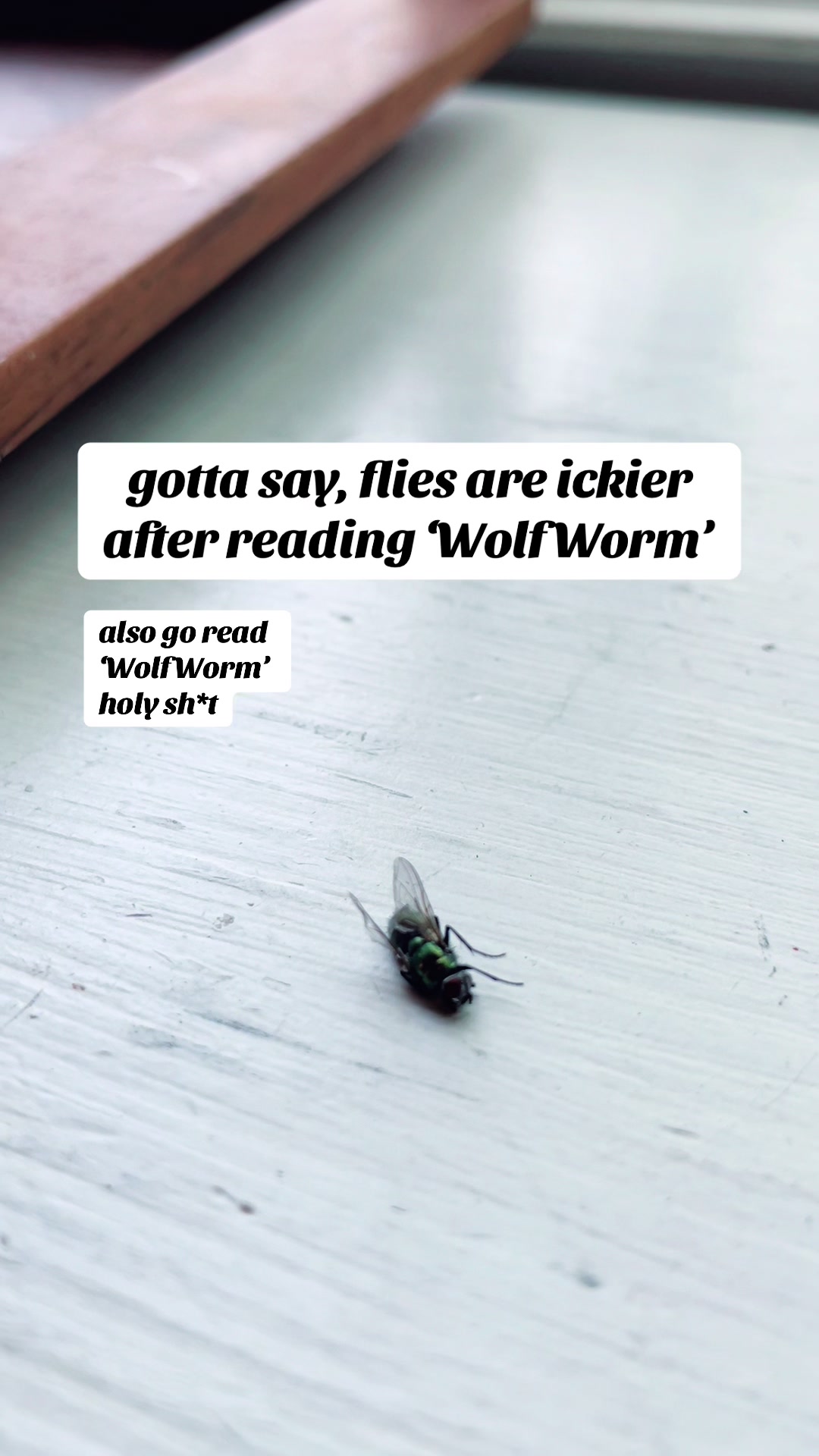 @Aleta Burchyski // Writer