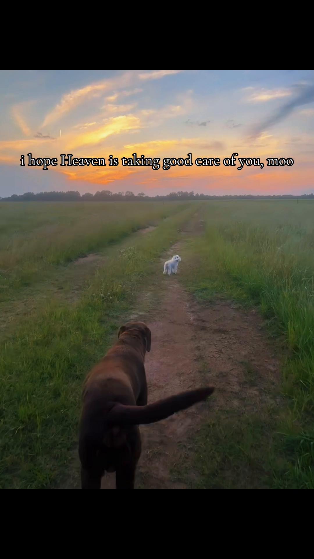 @✨💫𝑅𝒶𝓎𝓎𝓎💫✨