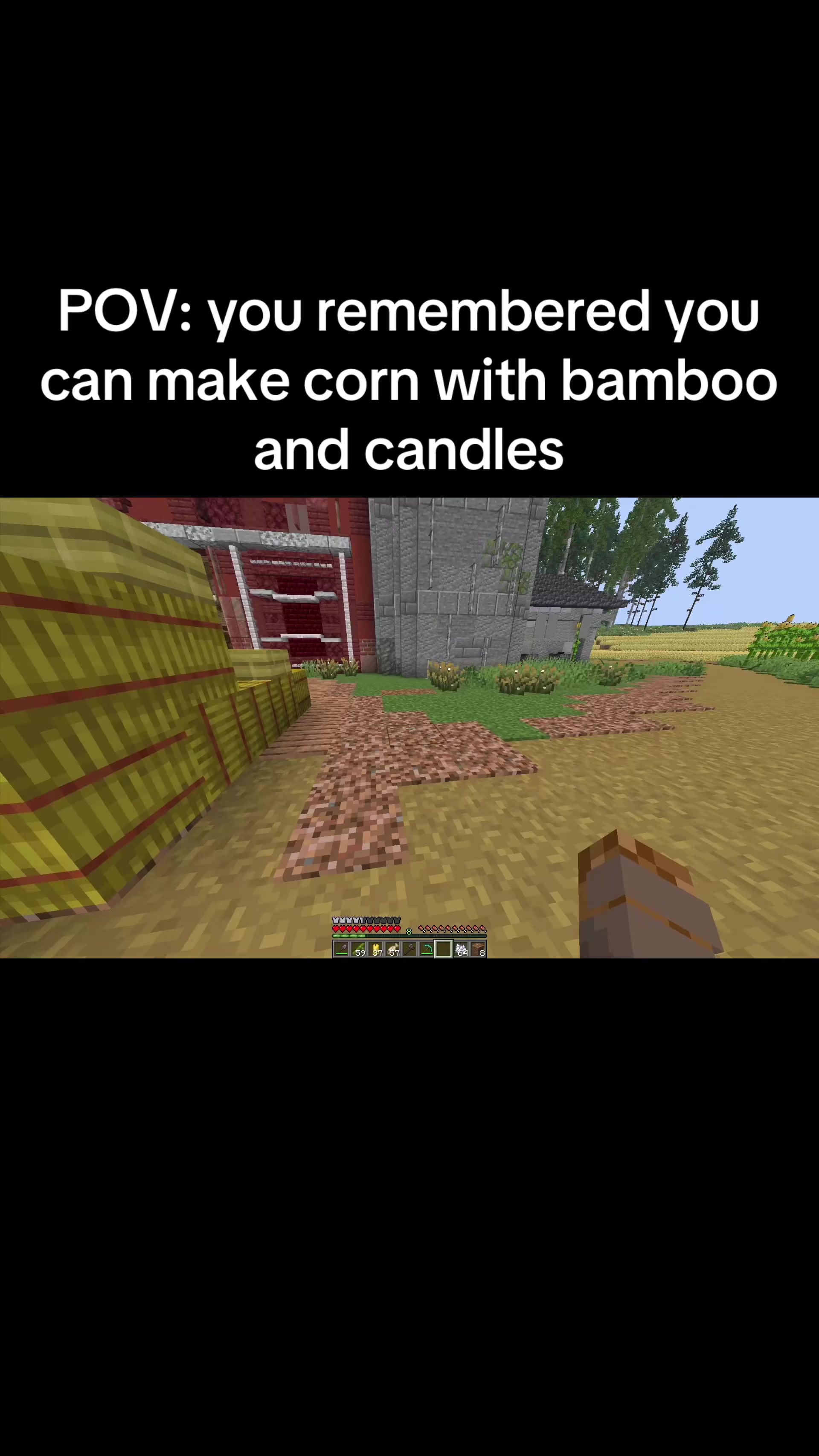@flzzzzf