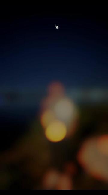 @✪ CİWAN ✪