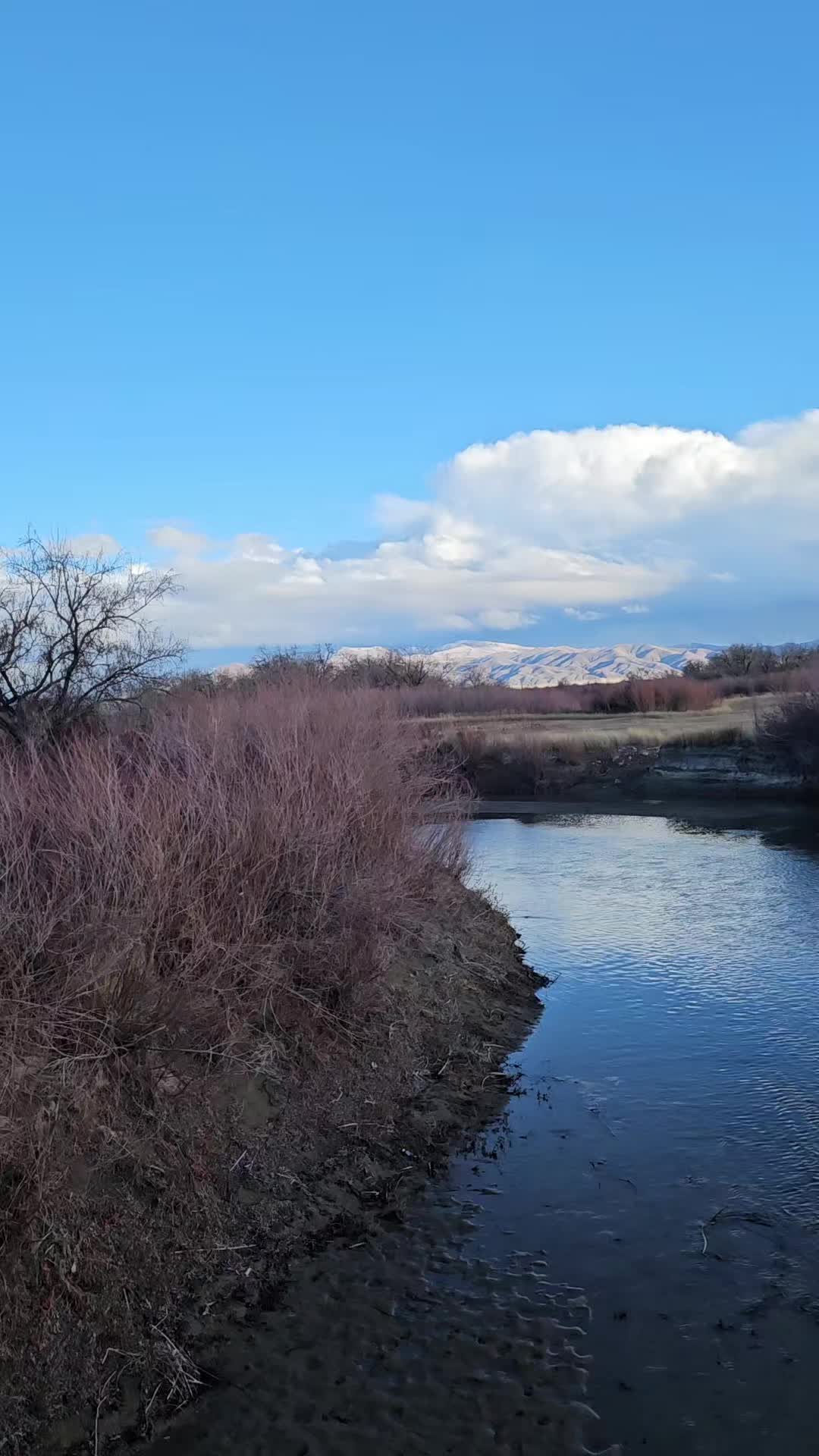 @🦋 kali