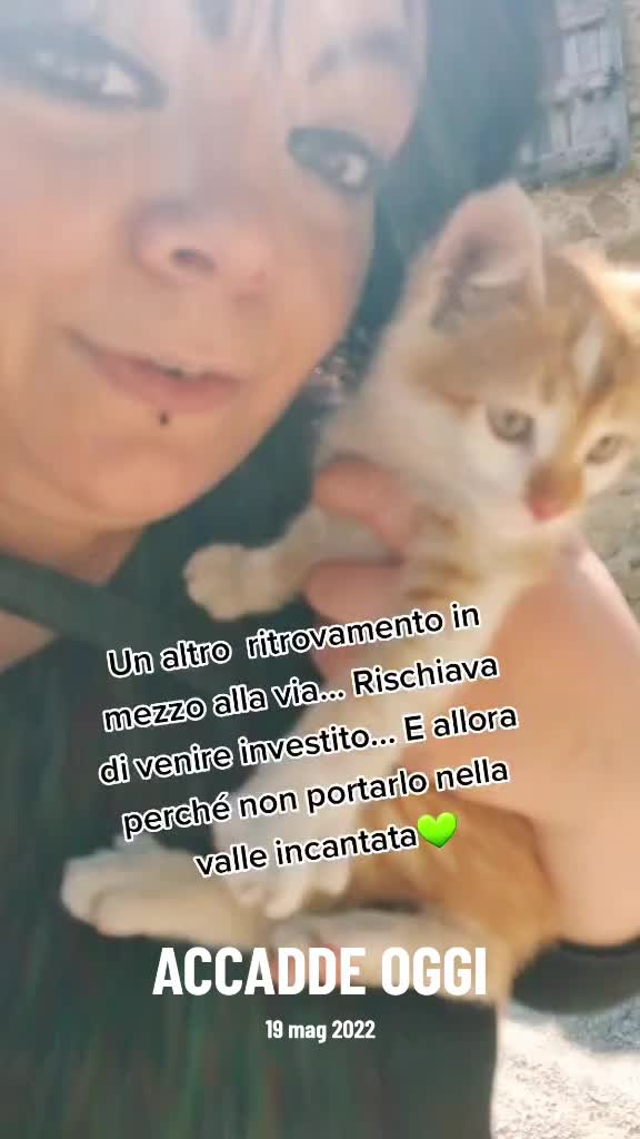 @Cristina Taddei