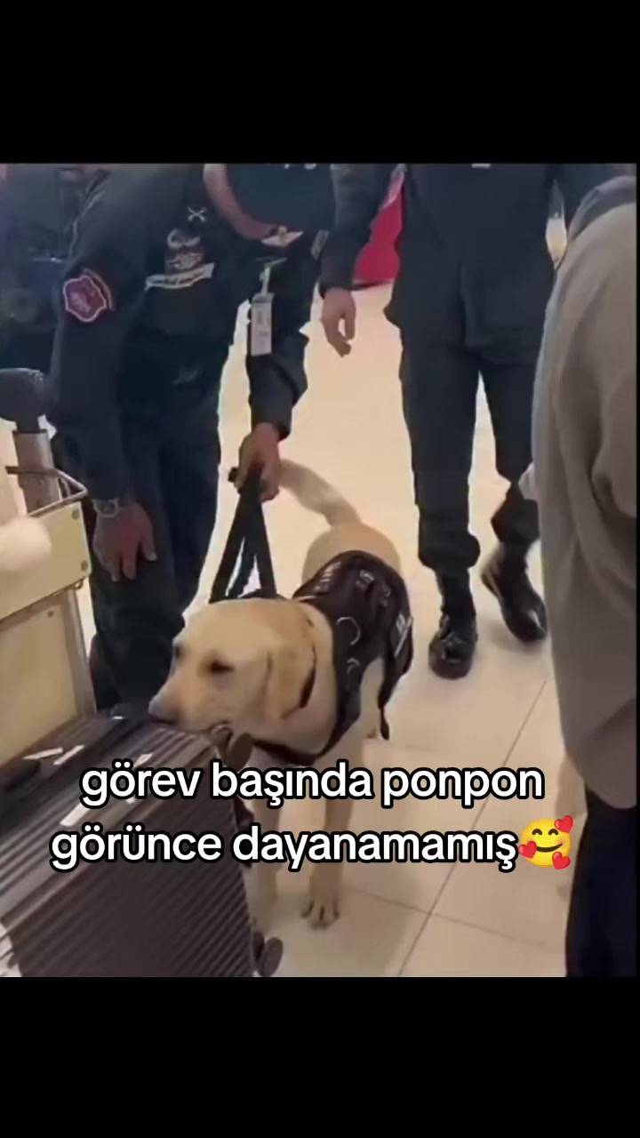 @Kader
