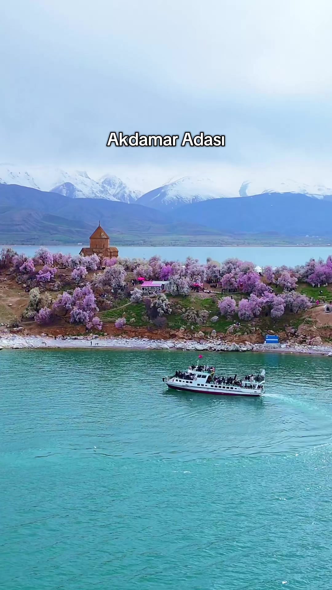 @Muzaffer Salcıoğlu