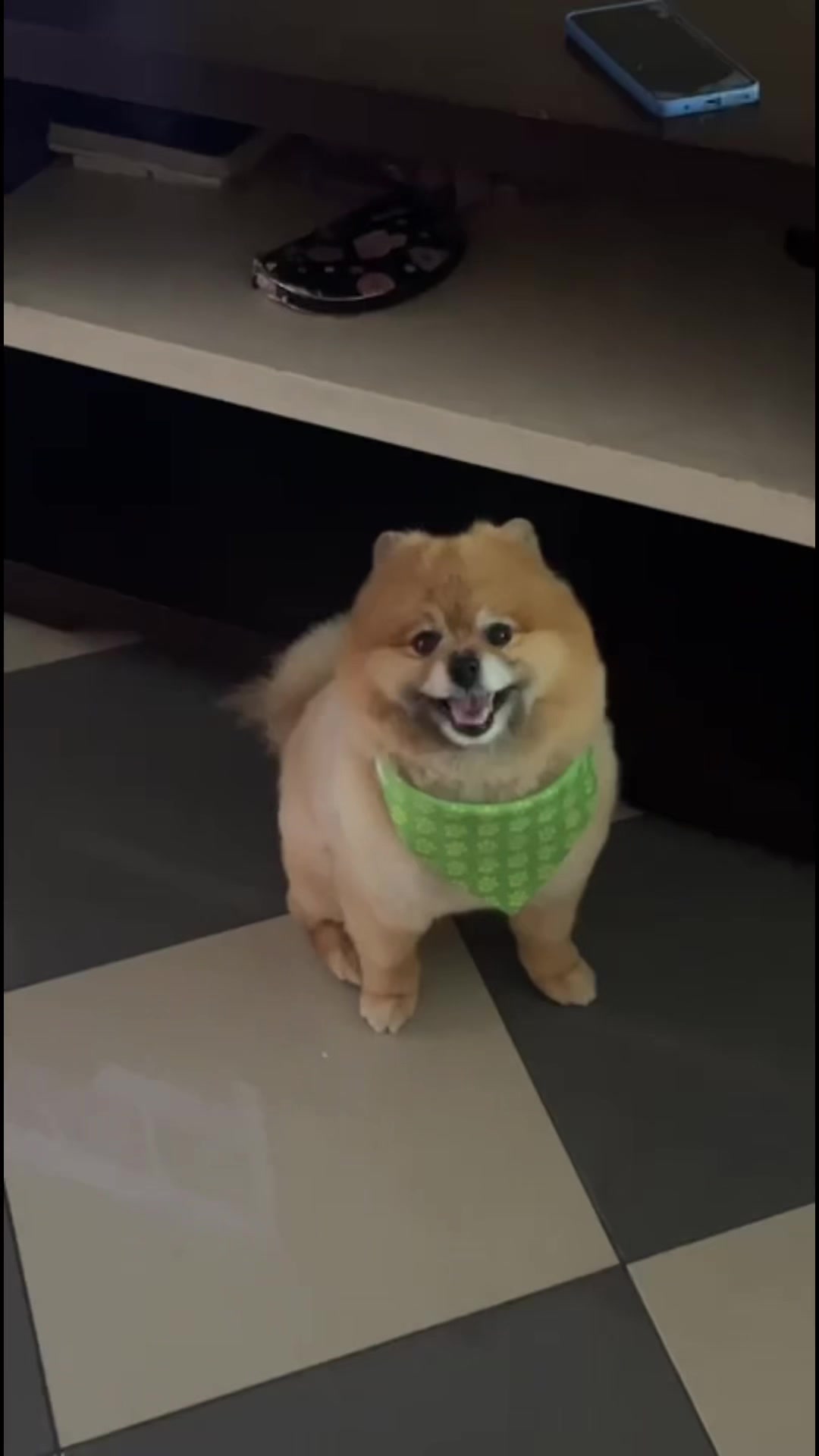 @pepe.silva237