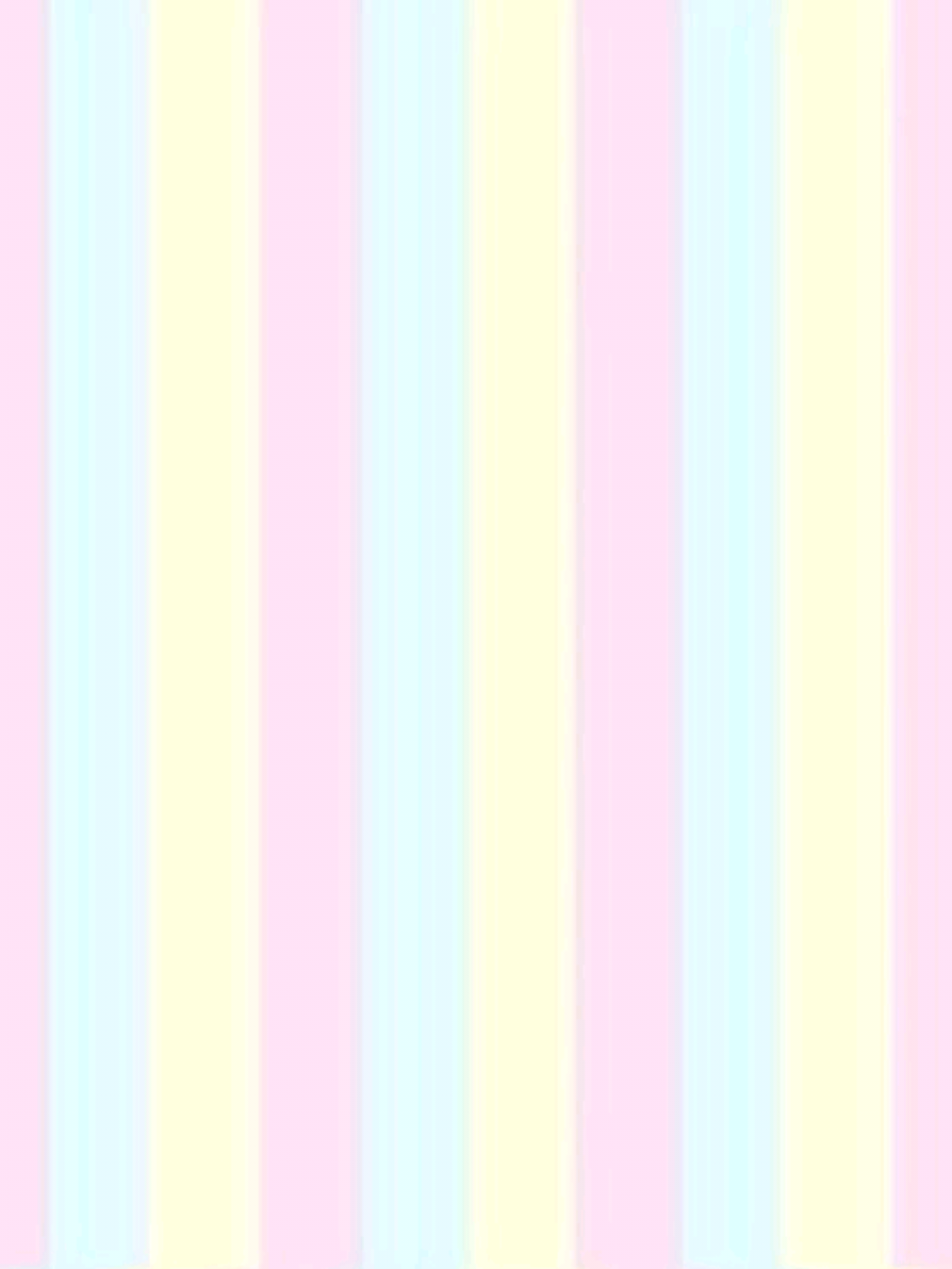 @๐ถ๐Mimi-chan !!๐๐พ