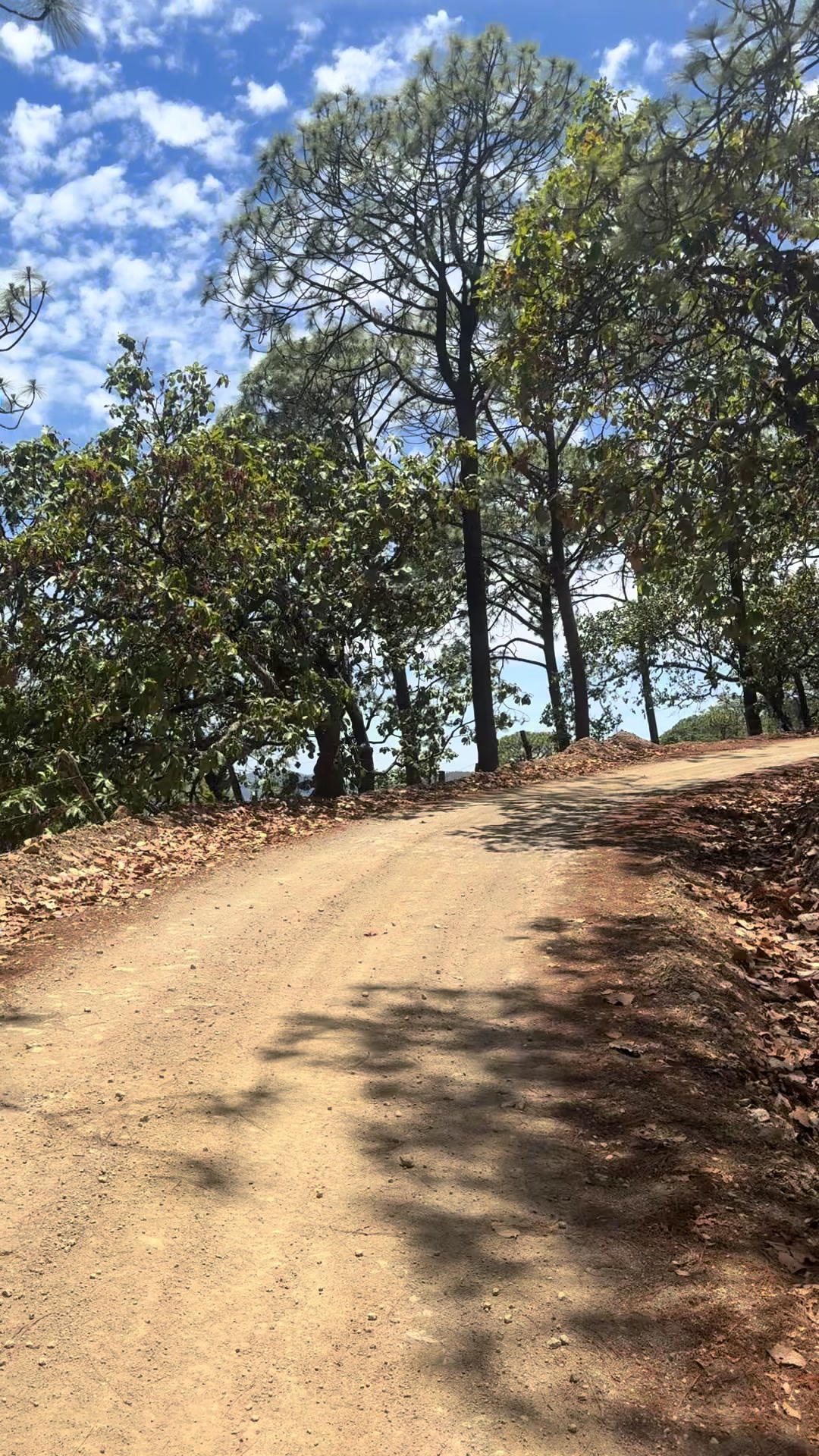 @Moy Osuna