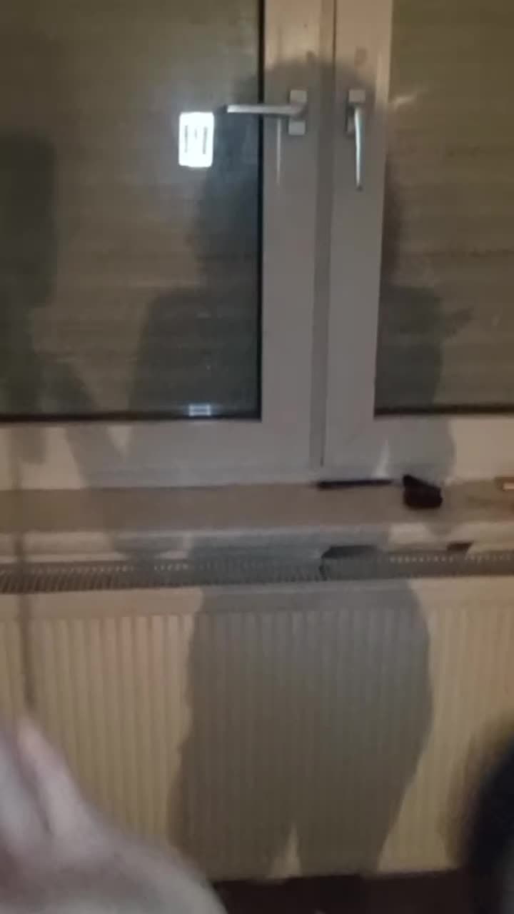 @Sonja🇩🇪